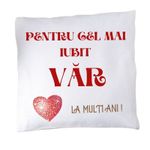 Casa si Gradina - Textile si covoare - Perne si pilote - Perne decorative - Perna "pentru cel mai iubit var" - Infinity.ro