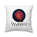 Casa si Gradina - Textile si covoare - Perne si pilote - Perne decorative - Perna "imi provoci insomnie" - Infinity.ro