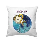 Casa si Gradina - Textile si covoare - Perne si pilote - Perne decorative - Perna "varsator" - Infinity.ro