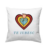 Casa si Gradina - Textile si covoare - Perne si pilote - Perne decorative - Perna "trandafir" - Infinity.ro