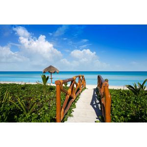 Casa si Gradina - Decoratiuni - Tapet - Infinity.ro