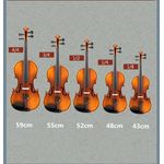 TV, Audio-Video si Foto - Instrumente muzicale - Instrumente clasice - Vioara clasica din lemn IdeallStore®, True Sound, marime 1/2, toc textil si set corzi inclus - Infinity.ro
