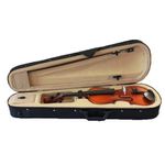 TV, Audio-Video si Foto - Instrumente muzicale - Instrumente clasice - Vioara clasica din lemn 4/4, toc inclus - Infinity.ro