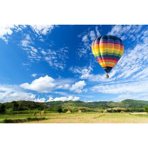 Casa si Gradina - Decoratiuni - Tapet - Infinity.ro