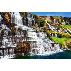 Casa si Gradina - Decoratiuni - Tapet - Infinity.ro