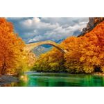 Casa si Gradina - Decoratiuni - Tapet - Autocolant, Pod spre natura, 220 x 135 cm - Infinity.ro