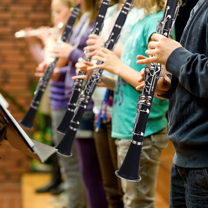 TV, Audio-Video si Foto - Instrumente muzicale - Instrumente clasice - Clarinet IdeallStore®, Musical Virtue, 17 clape, 67 cm, negru, geanta inclusa - Infinity.ro