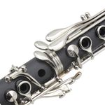 TV, Audio-Video si Foto - Instrumente muzicale - Instrumente clasice - Clarinet IdeallStore®, Musical Virtue, 17 clape, 67 cm, negru, geanta inclusa - Infinity.ro