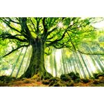 Casa si Gradina - Decoratiuni - Tapet - Tablou canvas Copacul verde, 45 x 30 cm - Infinity.ro