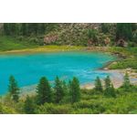 Casa si Gradina - Decoratiuni - Tapet - Tablou canvas Natura 113, 90 x 60 cm - Infinity.ro