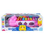 Jucarii, Copii si Bebe - Jucarii si jocuri - Jucarii de rol - Instrumente muzicale de jucarie - Xilofon, Ursulet + forme educative - Infinity.ro