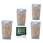Casa si Gradina - Gradinarit si plante - Plante si ghivece - Bulbi, seminte si rasaduri - Set 4 Saculeti pregatiti Pleurotus + Bonus termometru igrometru LCD - Infinity.ro