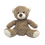 Carti si Birotica - Rechizite - Rucsacuri si genti scolare - Ghiozdan cu ursulica plus detasabil 21cm - Infinity.ro