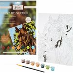 Jucarii, Copii si Bebe - Jucarii si jocuri - Jucarii & jocuri educative - Seturi pictura si desen - Pictura pe numere Cal - Infinity.ro