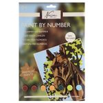 Jucarii, Copii si Bebe - Jucarii si jocuri - Jucarii & jocuri educative - Seturi pictura si desen - Pictura pe numere Cal - Infinity.ro