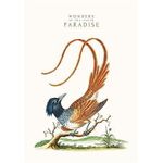 Carti si Birotica - Papetarie - Agende si calendare - Agende si carnete - Carnet notite A4 80 Foi Dictando, Laminare mata 9178 - Infinity.ro