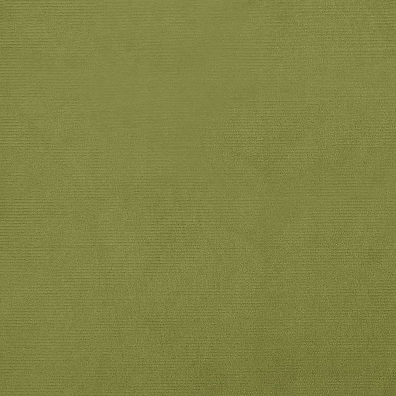 Casa si Gradina - Mobilier - Canapele si coltare - Canapele - Canapea extensibila cu 2 locuri 2 perne verde deschis catifea - Infinity.ro