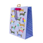 Market - Cadouri - Pungi cadou si accesorii - Punga cadou Clairefontaine L Sausage Dogs - Infinity.ro