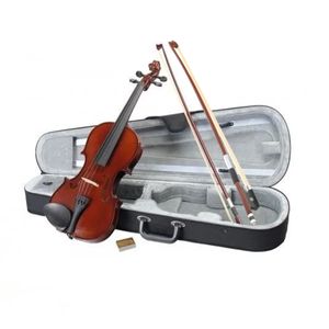 TV, Audio-Video si Foto - Instrumente muzicale - Instrumente clasice - Infinity.ro