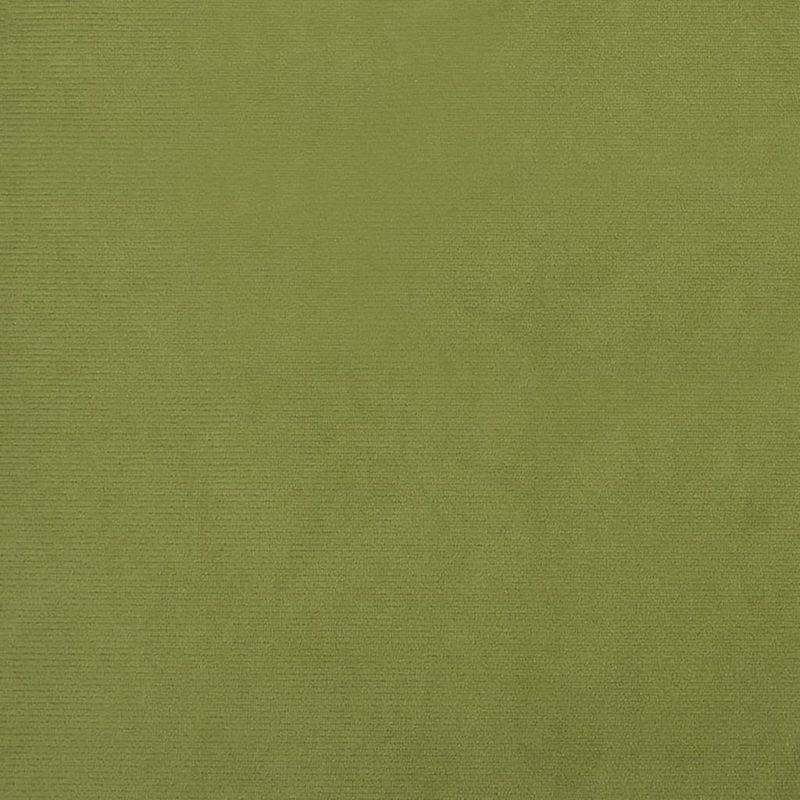Casa si Gradina - Mobilier - Scaune si fotolii - Fotolii - Fotoliu de relaxare, verde deschis, catifea - Infinity.ro