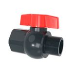 Casa si Gradina - Gradinarit si plante - Instalatii si accesorii pentru irigatii - Furtunuri de gradina si accesorii - Robinet PVC, 1' M-F - Infinity.ro