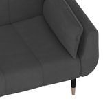 Casa si Gradina - Mobilier - Canapele si coltare - Canapele - Canapea extensibila cu 2 locuri, 2 perne, gri inchis, catifea - Infinity.ro