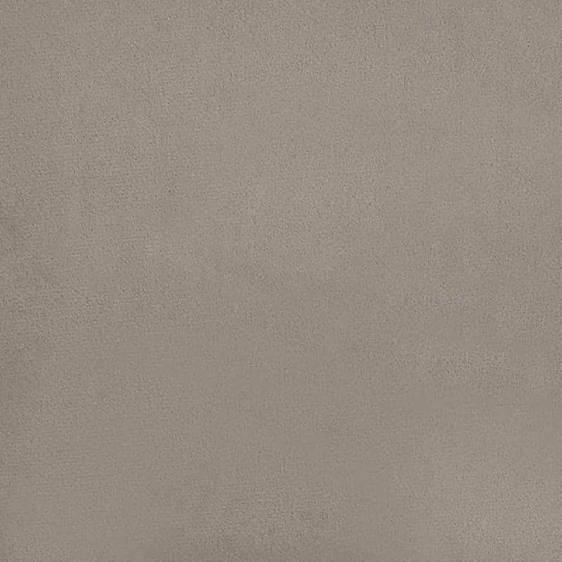 Casa si Gradina - Mobilier - Canapele si coltare - Canapele - Canapea extensibila cu 2 locuri, gri deschis, catifea - Infinity.ro