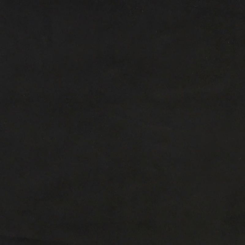 Casa si Gradina - Mobilier - Canapele si coltare - Canapele - Canapea extensibila cu 2 locuri, negru, catifea - Infinity.ro