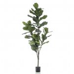 Casa si Gradina - Decoratiuni - Obiecte decorative - Plante artificiale - Emerald Ficus artificial Lyrata 160 cm - Infinity.ro