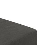 Casa si Gradina - Mobilier - Canapele si coltare - Canapele - Canapea extensibila cu 2 locuri, gri inchis, catifea - Infinity.ro