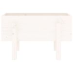 Casa si Gradina - Gradinarit si plante - Plante si ghivece - Ghivece si suporturi - Jardiniera de gradina, alb, 62x30x38 cm, lemn masiv de pin - Infinity.ro