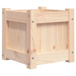 Casa si Gradina - Gradinarit si plante - Plante si ghivece - Ghivece si suporturi - Jardiniera de gradina, 31x31x31 cm, lemn masiv de pin - Infinity.ro