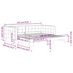 Casa si Gradina - Mobilier - Paturi si accesorii - Paturi - Pat de zi cu extensie, gri deschis, 100x200 cm, catifea - Infinity.ro