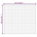 Casa si Gradina - Textile si covoare - Lenjerii de pat - Cearceafuri de pat - Patura cu greutati, albastru, 200x225 cm, 13 kg, textil - Infinity.ro