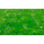 Casa si Gradina - Gradina si terasa - Garduri, panouri si accesorii - Plasa de sarma gaini, verde, 25 x 1 m, otel galvanizat cu PVC - Infinity.ro