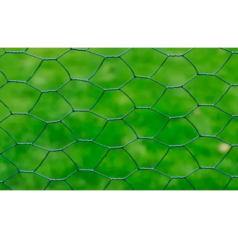 Casa si Gradina - Gradina si terasa - Garduri, panouri si accesorii - Plasa de sarma gaini, verde, 25 x 1 m, otel galvanizat cu PVC - Infinity.ro
