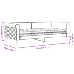 Casa si Gradina - Mobilier - Paturi si accesorii - Paturi - Pat de zi cu saltea, gri deschis, 100x200 cm, catifea - Infinity.ro