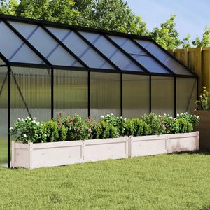 Casa si Gradina - Gradinarit si plante - Plante si ghivece - Infinity.ro