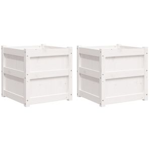 Casa si Gradina - Gradinarit si plante - Plante si ghivece - Infinity.ro