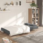 Casa si Gradina - Mobilier - Canapele si coltare - Canapele - Canapea extensibila cu 2 locuri, 2 perne, gri inchis, textil - Infinity.ro