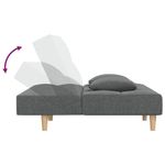 Casa si Gradina - Mobilier - Canapele si coltare - Canapele - Canapea extensibila cu 2 locuri, 2 perne, gri inchis, textil - Infinity.ro