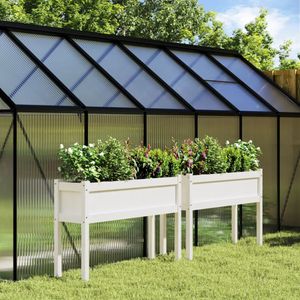 Casa si Gradina - Gradinarit si plante - Plante si ghivece - Infinity.ro