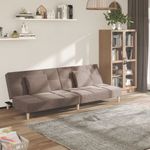 Casa si Gradina - Mobilier - Canapele si coltare - Canapele - Canapea extensibila cu 2 locuri, 2 perne, gri taupe, textil - Infinity.ro