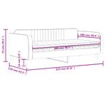 Casa si Gradina - Mobilier - Paturi si accesorii - Paturi - Pat de zi cu saltea, albastru, 100x200 cm, catifea - Infinity.ro