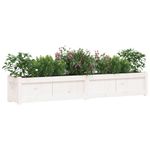 Casa si Gradina - Gradinarit si plante - Plante si ghivece - Ghivece si suporturi - Jardiniera de gradina, alb, 180x31x31 cm, lemn masiv de pin - Infinity.ro