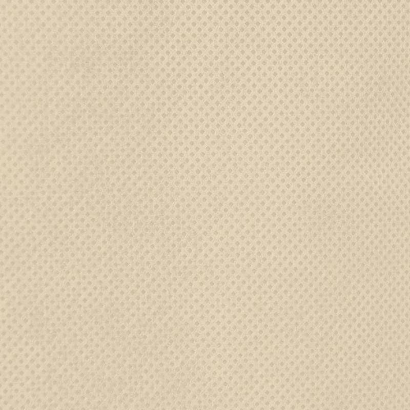 Casa si Gradina - Gradinarit si plante - Unelte gradinarit - Accesorii pentru unelte gradinarit - Protectii fleece pentru plante, fermoar, 4 buc 70 g/m² 2,36x2 m, bej - Infinity.ro