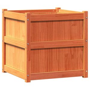 Casa si Gradina - Gradinarit si plante - Plante si ghivece - Infinity.ro