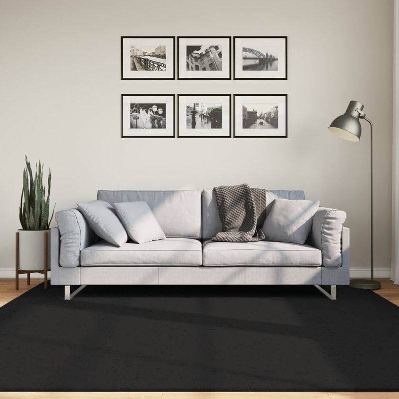 Casa si Gradina - Textile si covoare - Covoare - Covoare casa - Covor HUARTE, fir scurt, moale si lavabil, negru, 200x200 cm - Infinity.ro