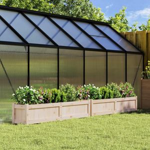 Casa si Gradina - Gradinarit si plante - Plante si ghivece - Infinity.ro