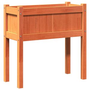 Casa si Gradina - Gradinarit si plante - Plante si ghivece - Infinity.ro